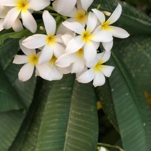 Meet your Posher, Glenda